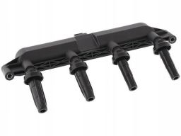 Cewka Zapłonowa 48023