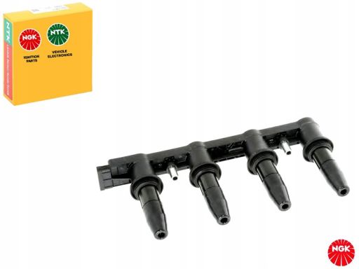 Cewka Zapłonowa 48406