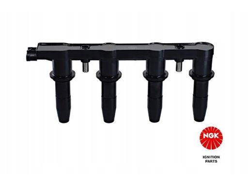 Cewka Zapłonowa 48406