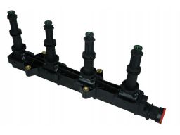 Cewka Zapłonowa 060717184012