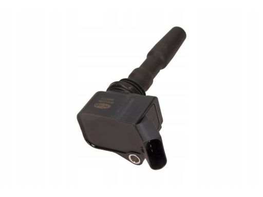 Cewka Zapłonowa 060717199012