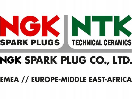 Świeca Zapłonowa 9198