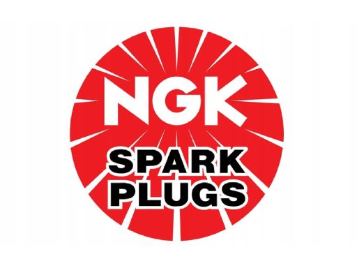 Świeca Zapłonowa 2871