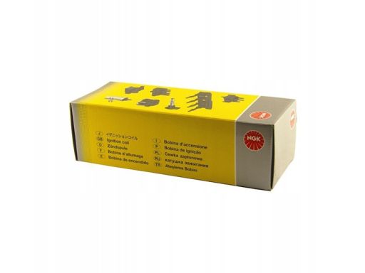 Świeca Zapłonowa Zfr6Fix-11P