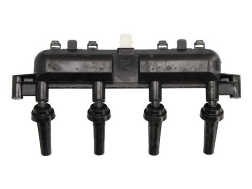 Cewka Zapłonowa Ent960050