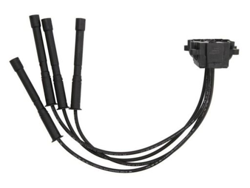 Cewka Zapłonowa Ent960028