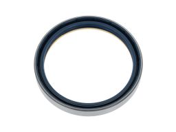 Uszczelniacz Piasty Koła 12001913B