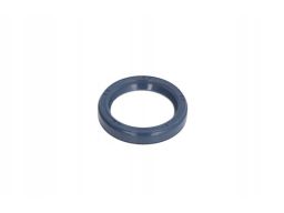 Uszczelniacz Wałka Manualnej Skrzyni Bie 12010879B