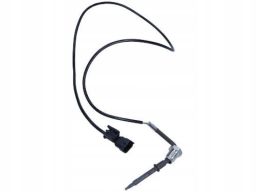 Czujnik Temperatury Spalin 172000231010