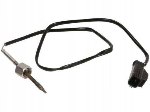 Czujnik Temperatury Spalin 172000515010