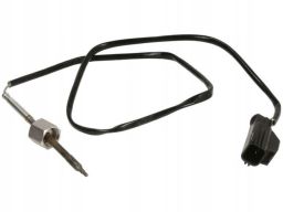 Czujnik Temperatury Spalin 172000515010