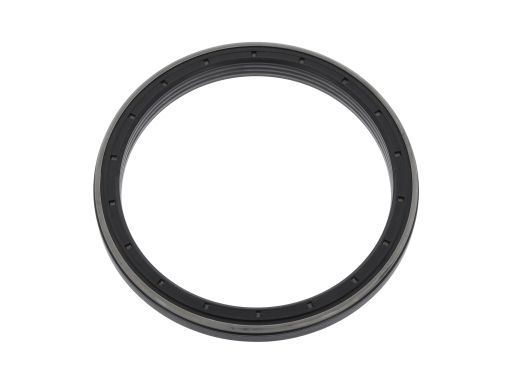 Uszczelniacz Wału Korbowego 12029818B