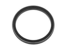 Uszczelniacz Wału Korbowego 12029818B