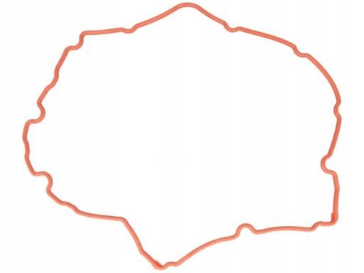 Uszczelka Pokrywy Zaworów 71-38172-00