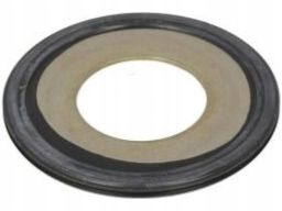 Uszczelniacz Piasty Koła 19034018B