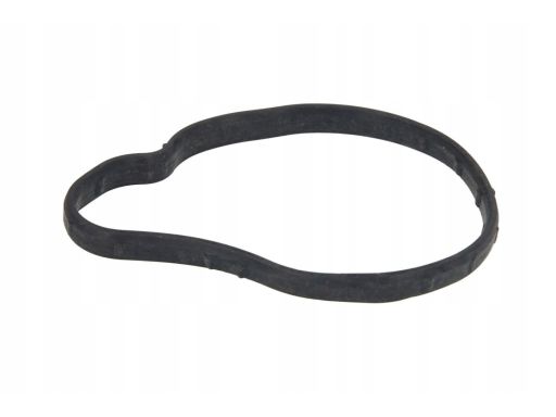 Uszczelka Termostatu 650.000