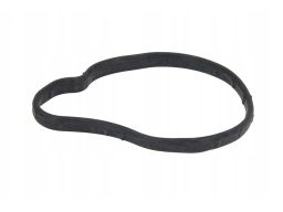 Uszczelka Termostatu 650.000