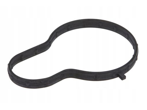 Uszczelka Termostatu 911.600