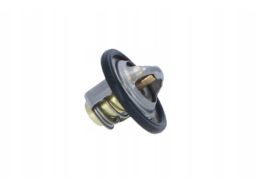 Termostat Środka Chłodzącego 725061