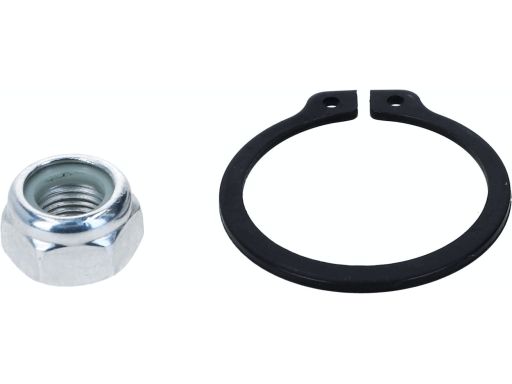 Sworzeń Wahacza 29666 02