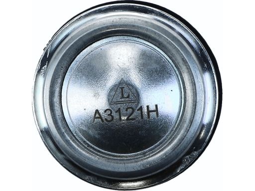 Sworzeń Wahacza 29666 02