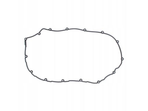 Uszczelka Pokrywy Zaworów 660.561