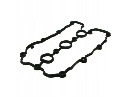 Uszczelka Pokrywy Zaworów 725.860