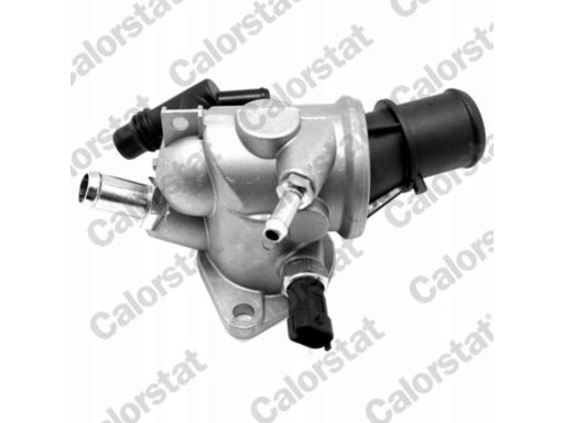 Termostat Środka Chłodzącego Th7173.83J