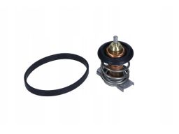 Termostat Środka Chłodzącego Th9283.88J