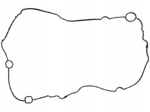 Uszczelka Pokrywy Zaworów 593.310
