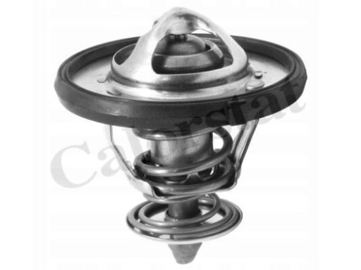 Termostat Środka Chłodzącego Th7310.77J