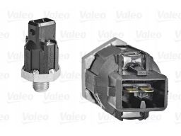 Czujnik Spalania Stukowego 255400