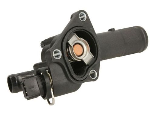 Termostat Środka Chłodzącego D21001Tt