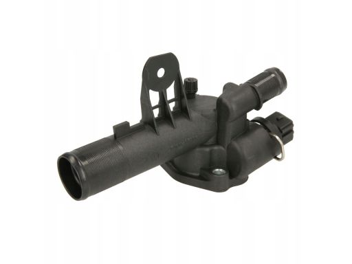 Termostat Środka Chłodzącego D21001Tt