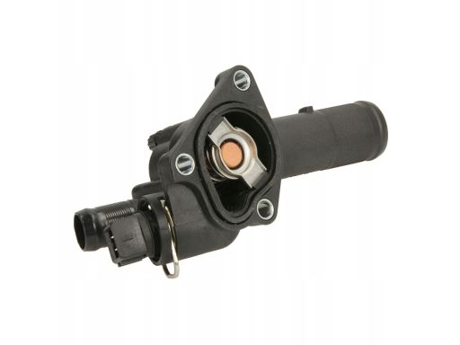 Termostat Środka Chłodzącego D21001Tt