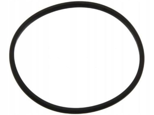 Uszczelka Termostatu 11834