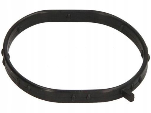 Uszczelka Obudowy Termostatu 464.710