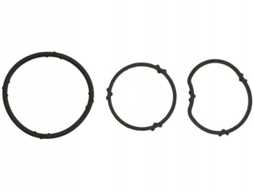 Uszczelka Obudowy Termostatu 546.950