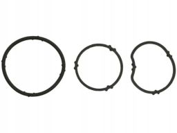 Uszczelka Obudowy Termostatu 546.950