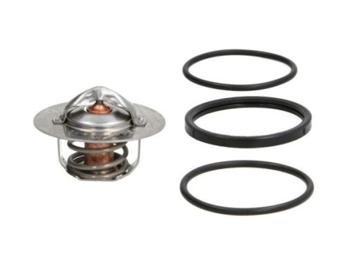 Termostat Środka Chłodzącego D2R003Tt