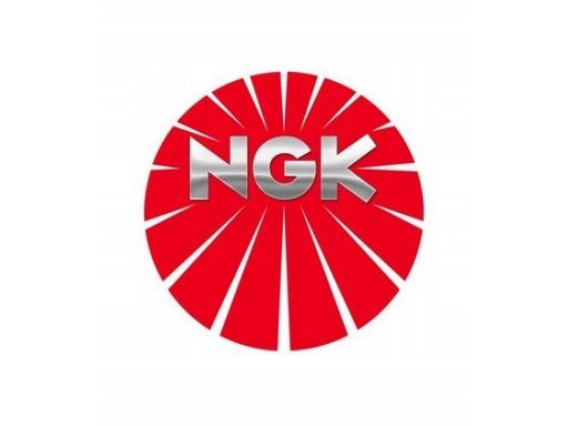 Świeca Żarowa/Płomieniowa 8904