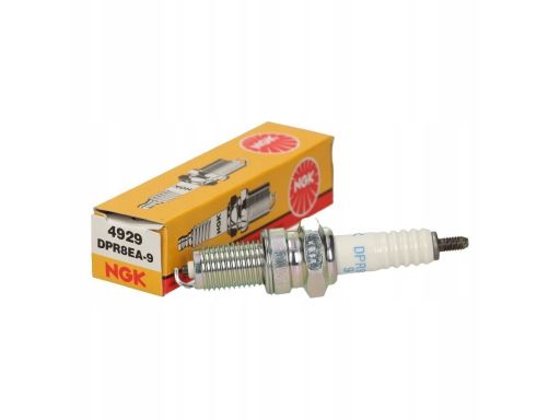 Świeca Zapłonowa 4929