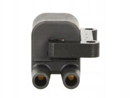 Cewka Zapłonowa Gn10397-12B1