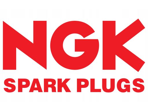 Świeca Zapłonowa 5110