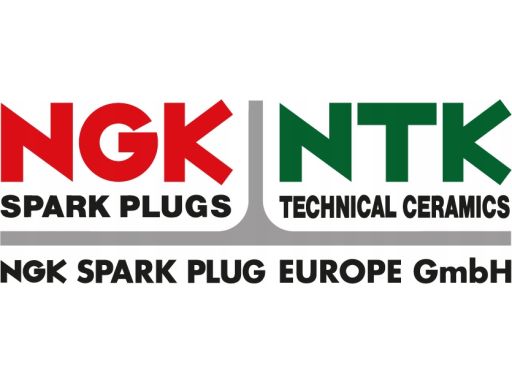 Świeca Zapłonowa 5110