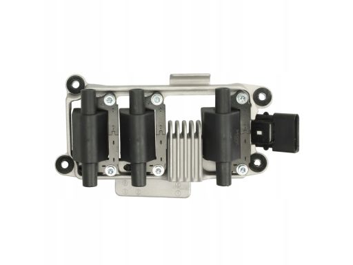 Cewka Zapłonowa 48037