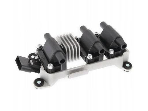 Cewka Zapłonowa 48037