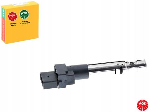 Cewka Zapłonowa 48065