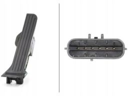 Czujnik, Pozycja Pedału Gazu 6Pv 008 890-711