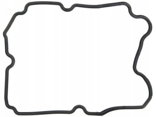 Uszczelka Pokrywy Zaworów 482.420